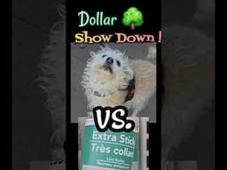 Struggling 🐕 with 🤬 FUR? I FOUND a BETTER Solution at Dollar 🌳 Tree - Please 👍 & Comment ❤️