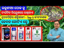 Thrips Control ନୂତନ ପିଢ଼ି ର Top 5କୀଟନାଶକ ଗୋଟିଏ ସ୍ପ୍ରେ ରେ ଉକୁଣୀଆ ପୋକ ଶେଷ