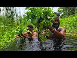WE FOUND A SPECIAL BUSH HUNTING IN CROCODILE INFESTED WATER DEEP IN THE SWAMP C&C