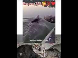 Beruang minta tolong  😭🥰❤️💯