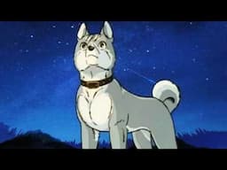 Silver Fang: The Anime only Popular in Finland