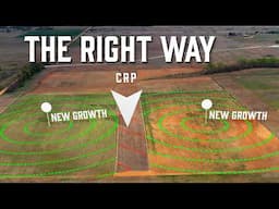 Building the PERFECT Training Grounds for Bird Dogs