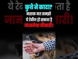 कुत्ते ने काटा? मज़ाक मत समझो  ये रेबीज हो सकता हैजानलेवा बीमारी!