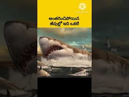 Megalodon is the most dangerous shark