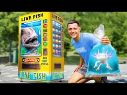 I Found a LIVE Fish Vending Machine...