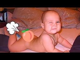 Best Moments Only Funny Babies Can Create! - Funny Baby Videos