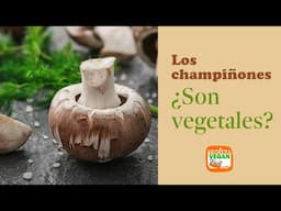 Después de ver esto, comprarás champiñones TODAS las semanas" 🛒