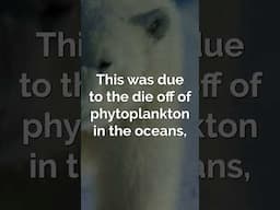 Human Extinction
