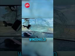 A WALLEYE did THIS to their CAR?!? #Walleye #walleyefishing #fishing #shorts