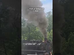 Family fun at Dollywood! #vlog #youtubeshorts #train #dollywood