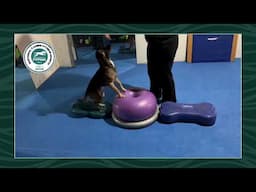 NCFM 2025 - Trax Donut & Circular Product Holder