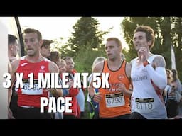 Wales v England - My Final Hard Workout
