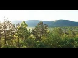 Boris Zhivago - Once Upon a Time