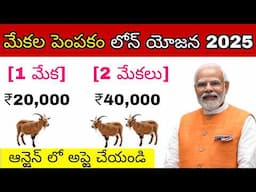 మేకల పెంపకం యోజన 2025 | Goat Farming Loan In Telugu | Sheep/Goat Farming Business