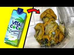 If You Notice This In Your Food, Throw It Away Immediately