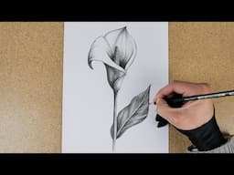 how to draw flowers | easy pencil drawing | رسم | رسم زهور | dessin | dibujo | flower drawing easy |