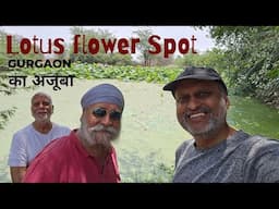 Lotus Flower spot... गुडगाँव में अजूबा... Leopard Trail Gurgaon