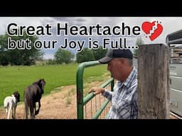 Joy and Heartache in One Week
