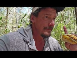 Floripalooza!!  Florida Trail Thru Hike 2025 E53