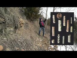 Pennsylvanian Fossils of Kansas