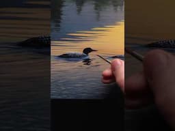 Only one thing left to do... #loon #lake #art