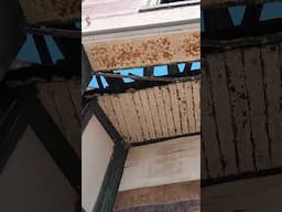 When the Roof Gives Up First…Falling Apart on Main Street