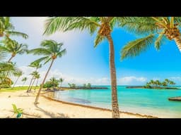 Bossa Nova by the Peaceful Beachside 🌴 Morning Jazz Music to Melt Away Stress and Fatigue