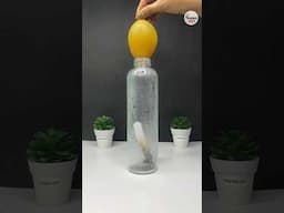 balloon in a bottle science tricks for school exhibition #scincetrick