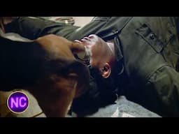Dog PEES On MAN! | Used Cars (1980) | Now Comedy