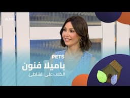 Pets - 17/06/2025 - باميلا فنون - الكلاب على الشاطئ