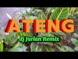 ATENG/dj Jurlan Remix/Dance Trend/Dance Fitness/Riza Acosta w/ Guinhawa South ZL