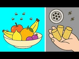 How To Get Rid of Fruit Flies, Gnats, Midges & Drain Flies