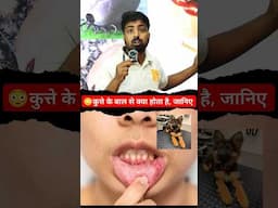 कुत्ते के बाल में क्या होता है? #dog  #doglover #pets #dogcare