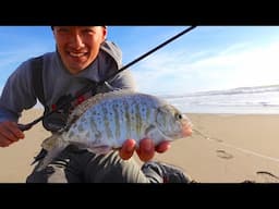 Surf Fishing the California Coast - Back to my roots