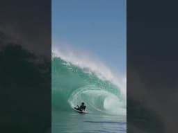 Can't buy a beer, can tame a slab of ocean 🚀🚀🚀 #sharkisland
