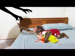 Baby monkey & CUTIS face the most terrifying thing ever ! OMG😱