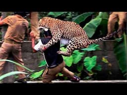 Damn Nature You Scary | Rare & Scary Animal Encounters 😱 #16