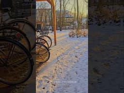 Minivlog #52: Snowfall in Denmark 🇩🇰 #shorts #minivlog #tamilvlog #bhuvanatamilvlogsdenmark