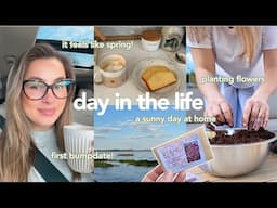 DAY IN THE LIFE 💛 we're bumpin'! a sunny day at home, sowing seeds, reading updates, etc
