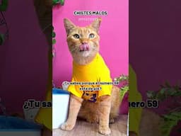 Dia tres en la contasion de chistes pauperrimos! jaja 😹🤣 con GATITOS #HUMOR #gatosnaranjas