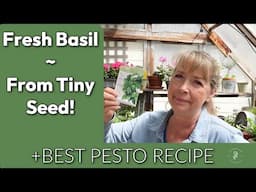 Hardening Off Seedlings the Easy Way | Start Basil from Seed!