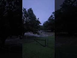 MOST EVIL HAUNTED CEMETERY TONIGHT! #paranormalactivity #evil