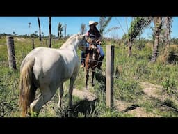 LEVAMOS UM NOVO ANIMAL PARA NOSSA FAZENDA