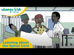 Learning about the Spinal Cord | Disability Awareness | Ubongo Kids #disabilityawareness #stem