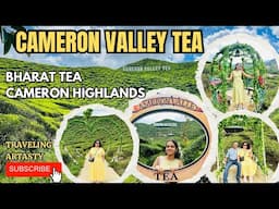 CAMERON VALLEY TEA IN CAMERON HIGHLANDS | Bharat Tea Plantation in Cameron, Malaysia