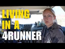 DODGING COYOTES IN VEGAS (living in a 4runner)