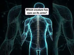 What’s the most sensitive part of human body?