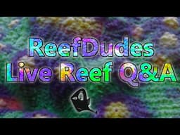 ReefDudes Saltwater Reef Chat - Live Q&A