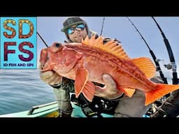 DEEP WATER ROCKFISH San Diego 9 Mile Bank SOLO SKIFF Fishing with ELECTRIC REEL 2025 Opener