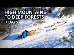 Dog Sledding Across Mountains & Forests | 7-Day Winter Adventure
